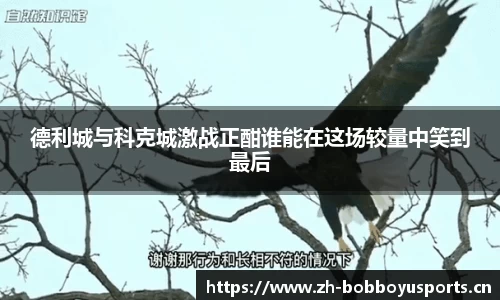 bob博鱼体育官网