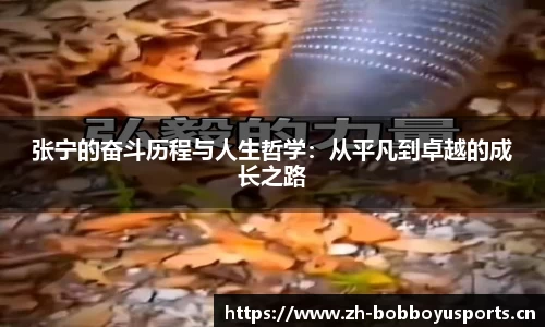 bob博鱼体育官网