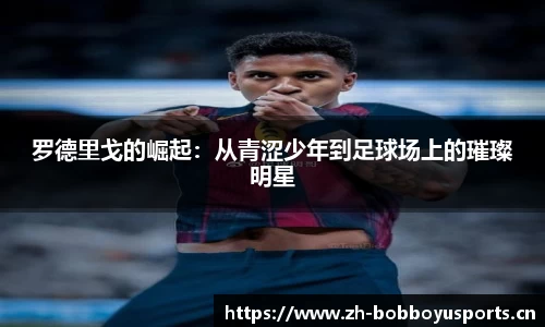 bob博鱼体育官网